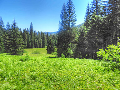 tombstone meadows 2 graphic